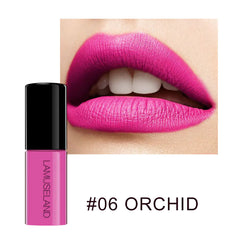 12 Color Waterproof Non-Stick Matte Lip Glaze Set