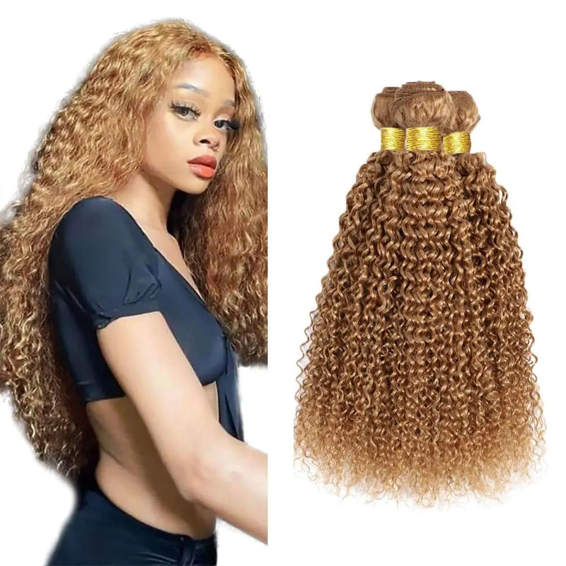 Honey Blonde Curly Bundles Color 27 Human Hair Bundles 8A Grade Unprocessed Brazilian Virgin Hair 3 Bundles 12 14 16 Inch Color 27 Curly Bundles Human Hair