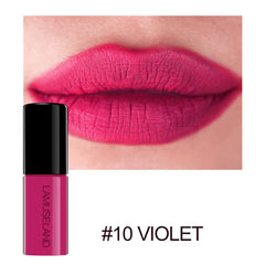 12 Color Waterproof Non-Stick Matte Lip Glaze Set