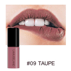 12 Color Waterproof Non-Stick Matte Lip Glaze Set