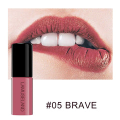 12 Color Waterproof Non-Stick Matte Lip Glaze Set